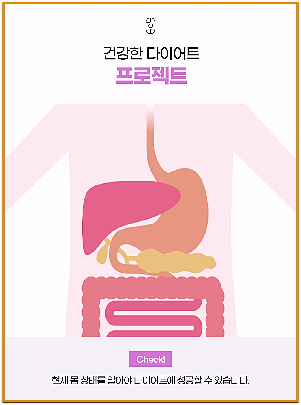 부산다이어트약 건강한 다이어트 프로젝트 소화기관 도식