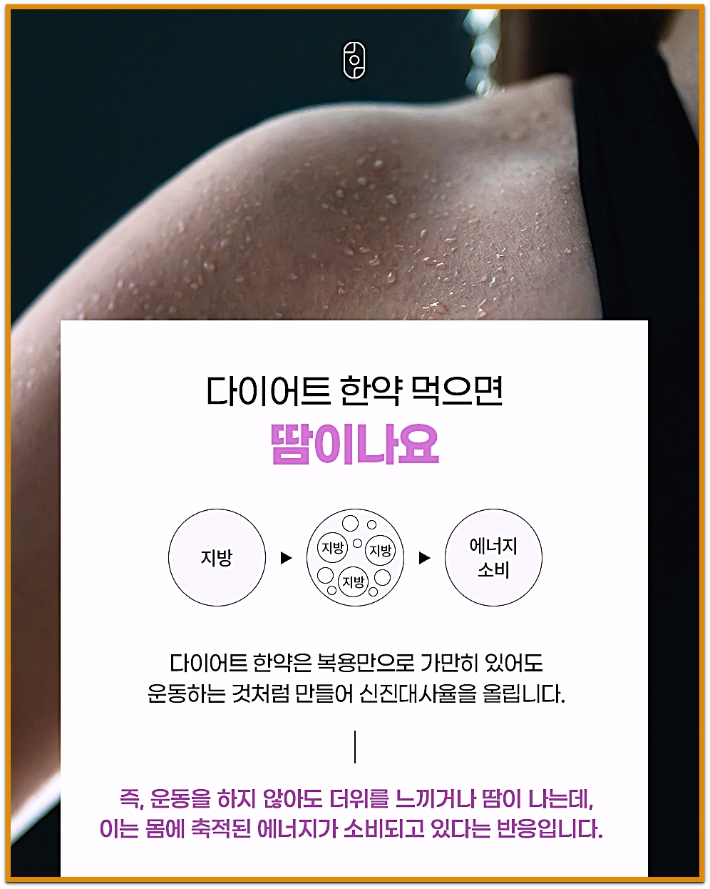 다이어트 한약 먹으면 땀이 나는 이유 지방 에너지 소비 도식